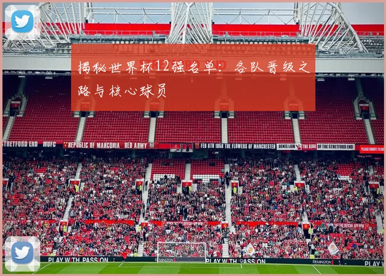 揭秘世界杯12强名单：各队晋级之路与核心球员