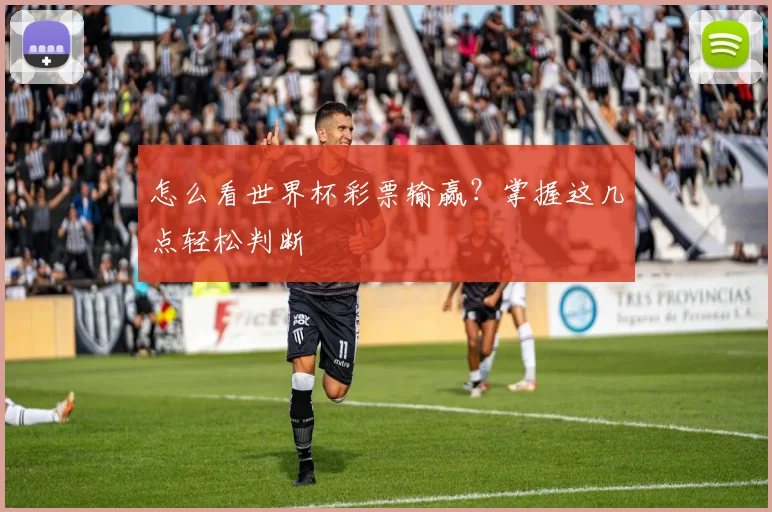 怎么看世界杯彩票输赢？掌握这几点轻松判断