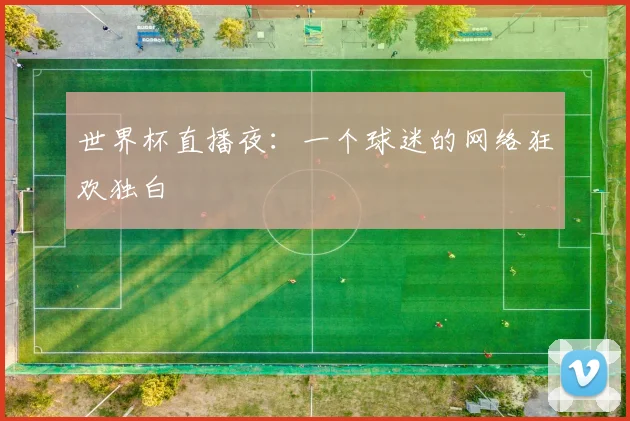 世界杯直播夜:一个球迷的网络狂欢独白