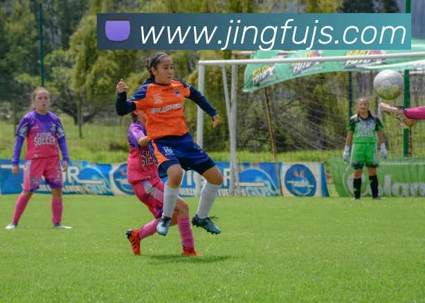 米兰网页版官网入口平台生态图